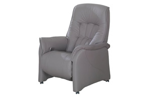 Himolla Rhine Armchair detail page